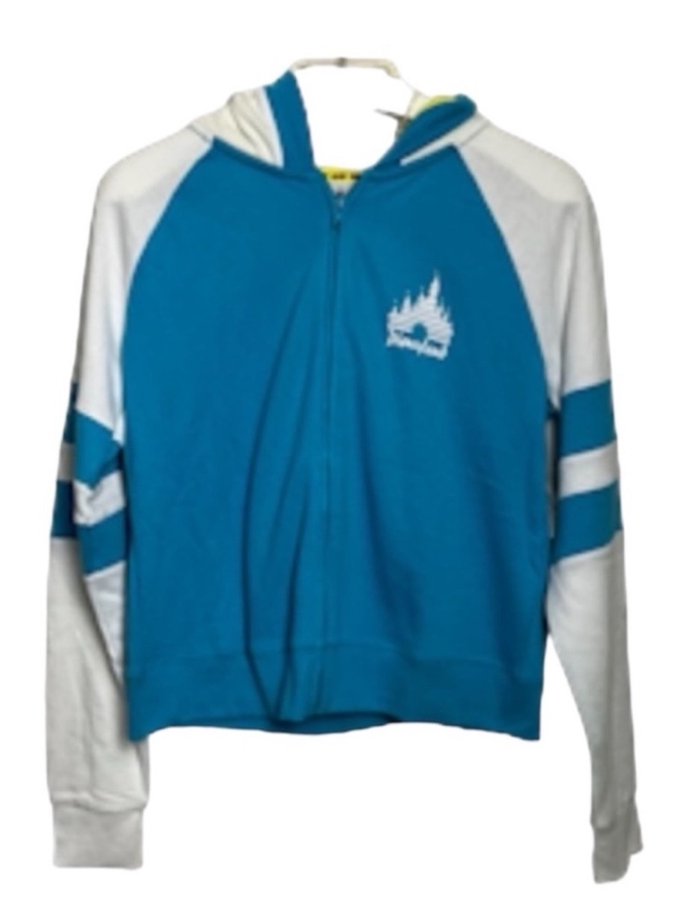 DISNEY MICKEY and FRIENDS DISNEYLAND Hooded
